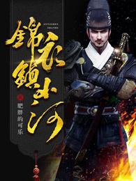 锦衣镇山河讲了什么